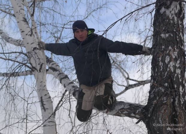 En Sibérie, un étudiant contraint de monter dans un bouleau de 8 mètres pour suivre ses cours en ligne