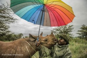 Avec le projet Vital Impacts, les plus grands photographes se mobilisent en vendant leurs plus beaux clichés pour venir en aide à la conservation de la faune sauvage.