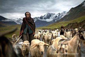 Voyagez sans bouger avec le sublime palmarès 2021 du Travel Photographer of the Year, le concours des plus belles photographies de voyage.