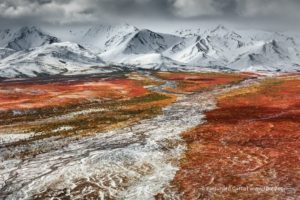 Voyagez sans bouger avec le sublime palmarès 2021 du Travel Photographer of the Year, le concours des plus belles photographies de voyage.