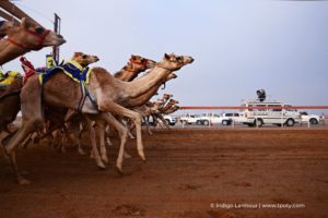 Voyagez sans bouger avec le sublime palmarès 2021 du Travel Photographer of the Year, le concours des plus belles photographies de voyage.